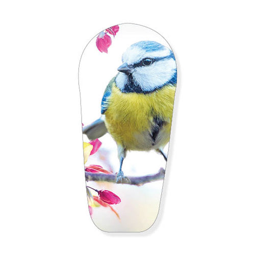 Autocollant Dexcom G6 « Oiseau printanier »