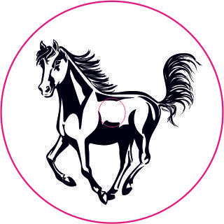 Autocollant Freestyle Libre « Black Beauty »