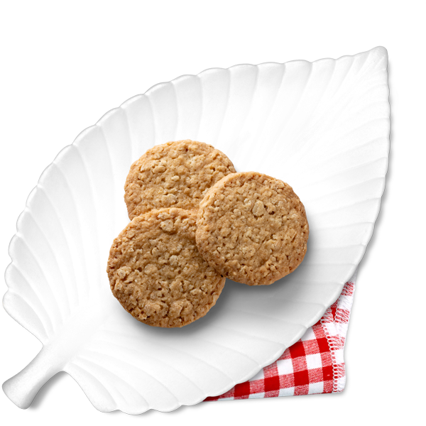 Oat biscuits with chocolate - only 2g carbs/biscuit 125g