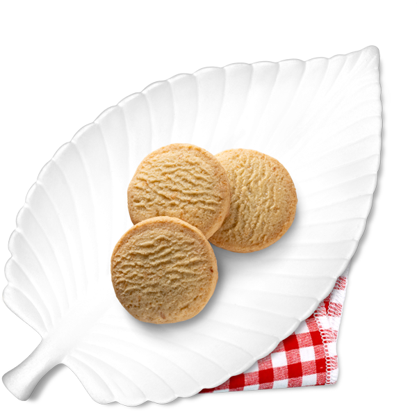 Oat biscuits with chocolate - only 2g carbs/biscuit 125g