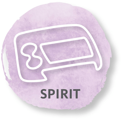 Accu-Check Spirit
