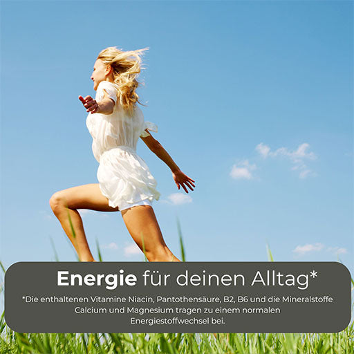 Hansepharm - power protein plus - 750g vanilla flavour