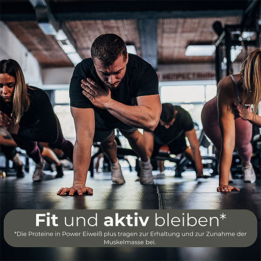 Hansepharm - power protein plus - 750g vanilla flavour