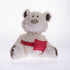 Kuscheltier Teddy Puppen Pumpentasche