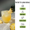 INSTICK poudre pour boisson sans sucre, ananas 12x (12 x 0,5 l, sans glucides/BE)